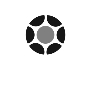 marcopolo.png